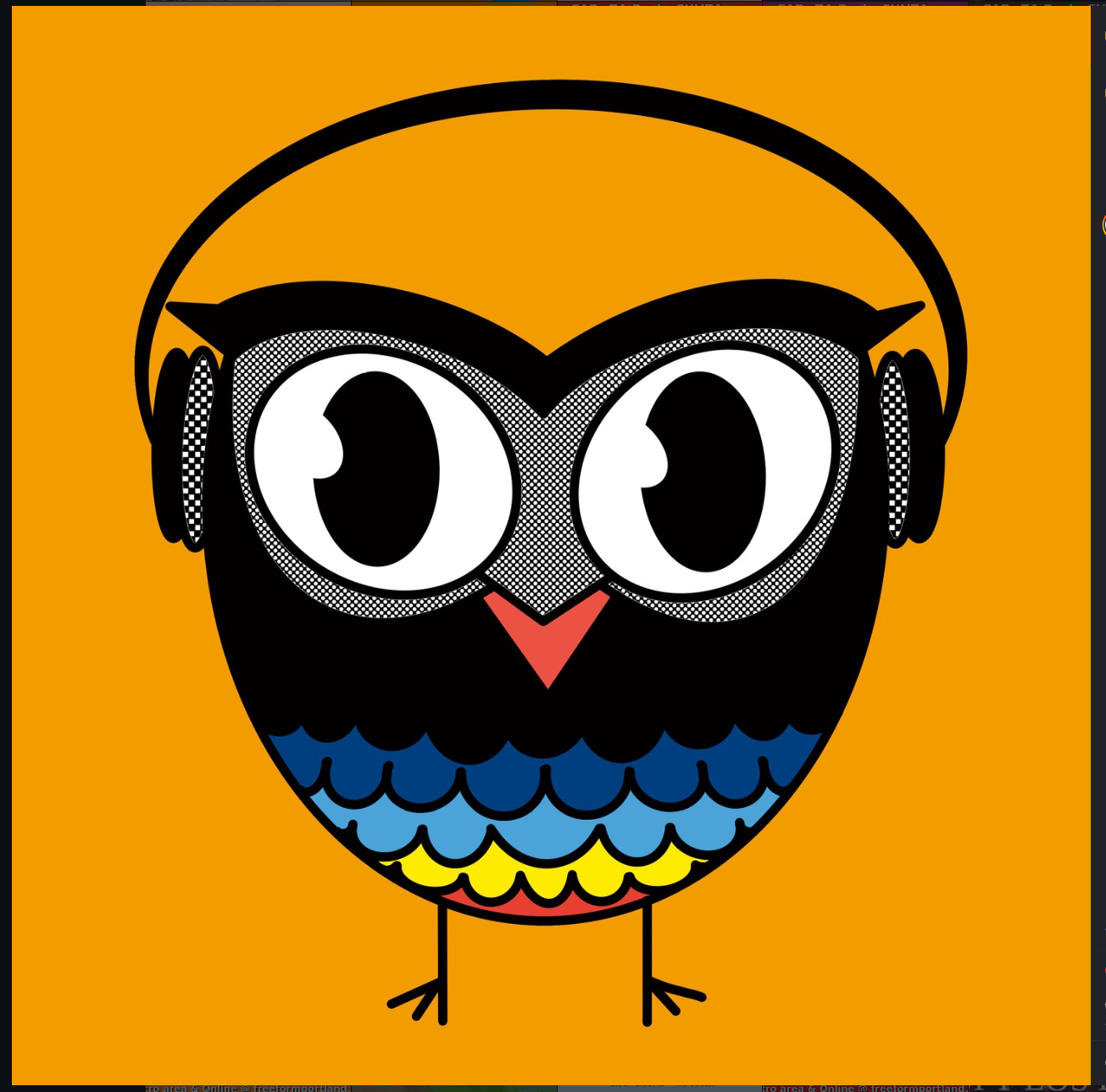 DJ The Owl