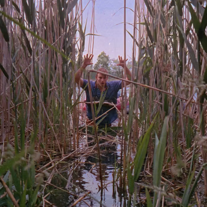 a photograph of a person standing in waist high water with their hands raised in the air, on either side of the person are reeds twice as tall as they are. there is no text.