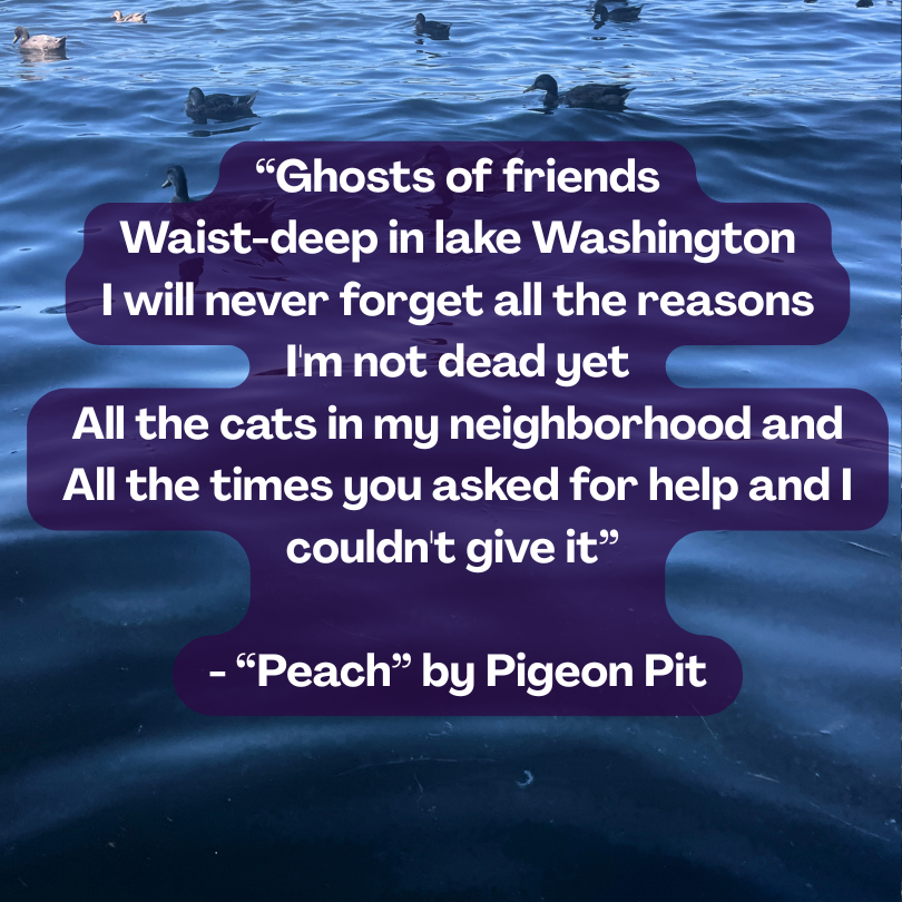 photo of lake washington with ducks. text reads a section of lyrics from the song peach by pigeon pit