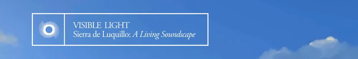 Visible Light - Sierra de Luquillo: A Living Soundscape
